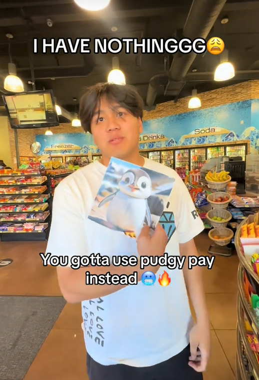 Mouse Pay meme referencing Pudgy Pay.