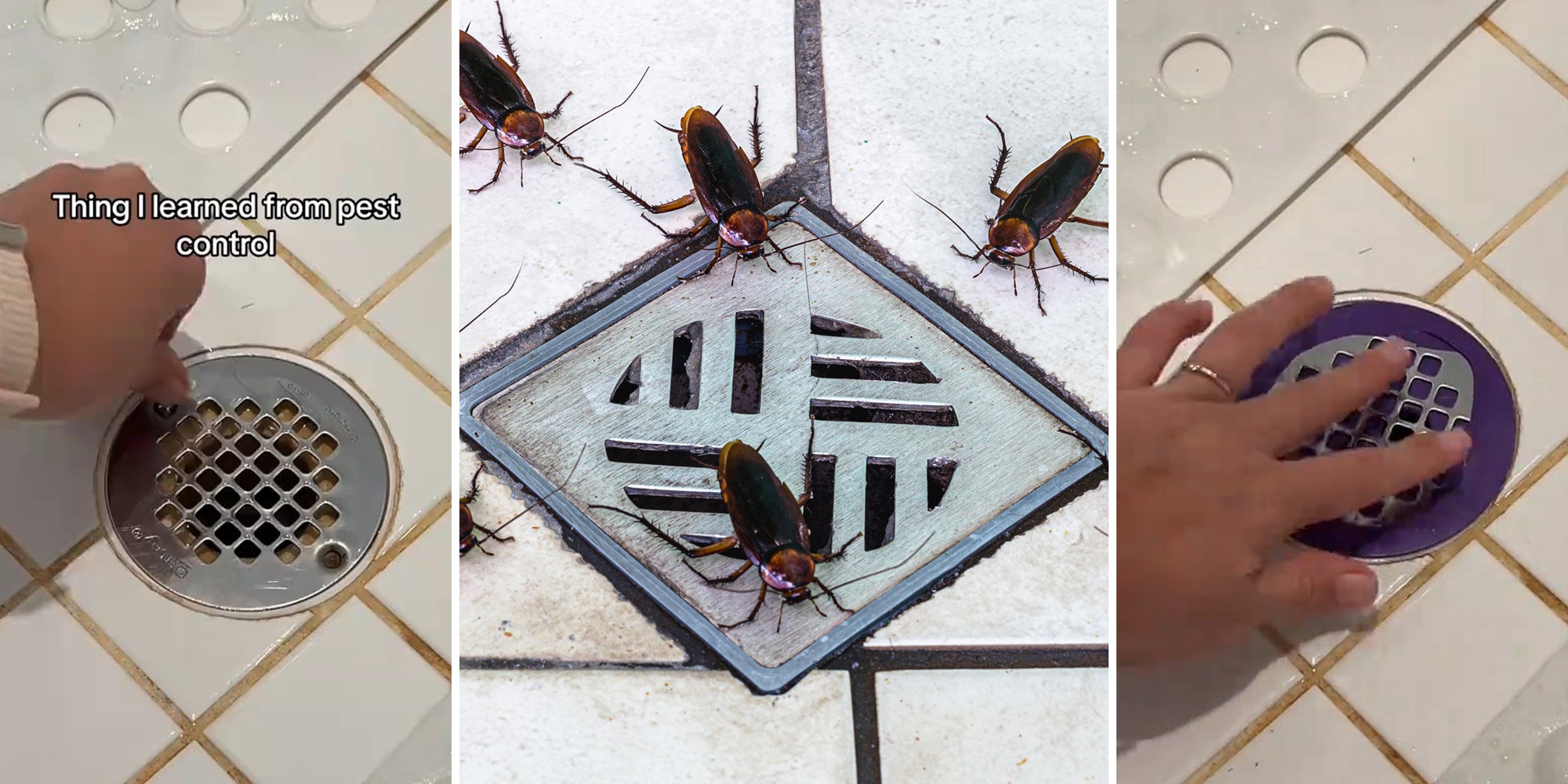 hand unscrewing drain with caption 'Thing I learned from pest control' (l) roaches on shower drain (c) hand adjusting purple balloon on shower grate (r)
