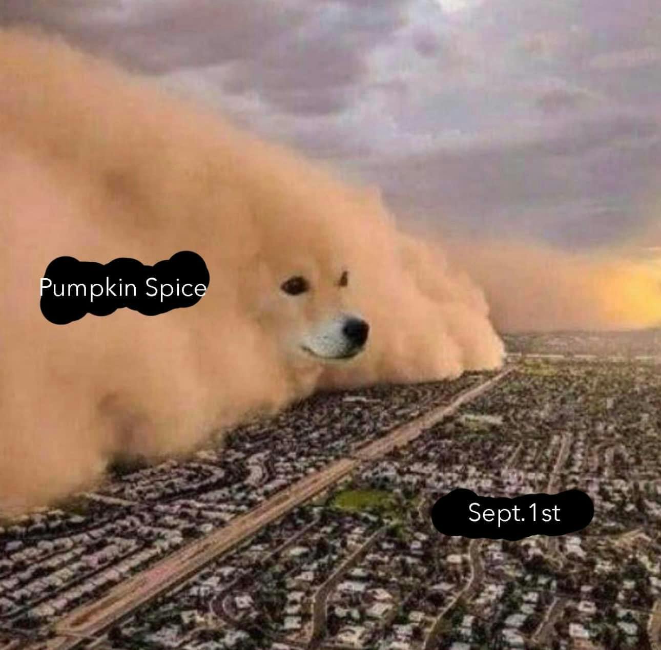 Pumpkin spice latte meme showing Doge as a cloud of sand labeled 'pumpkin spice' spreading over an entire city, labeled 'September 1'