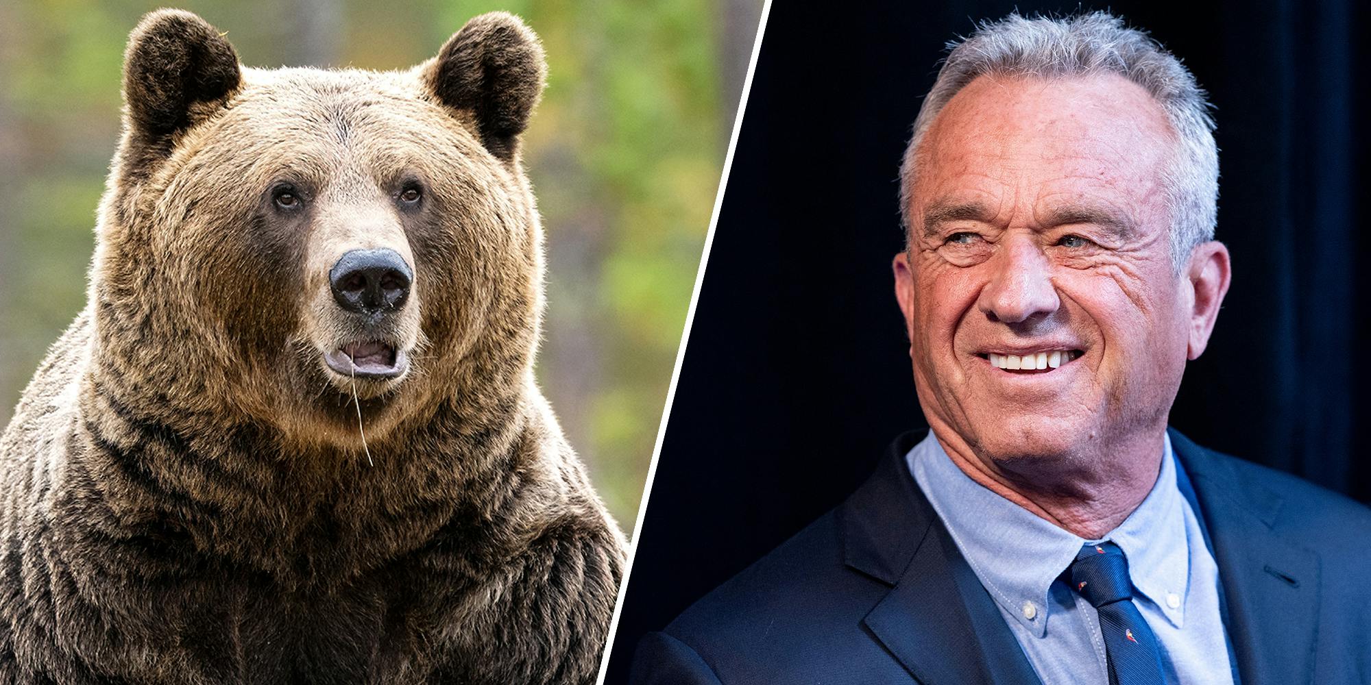Internet explodes as mysterious Central Park bear cub culprit revealed to be RFK Jr.