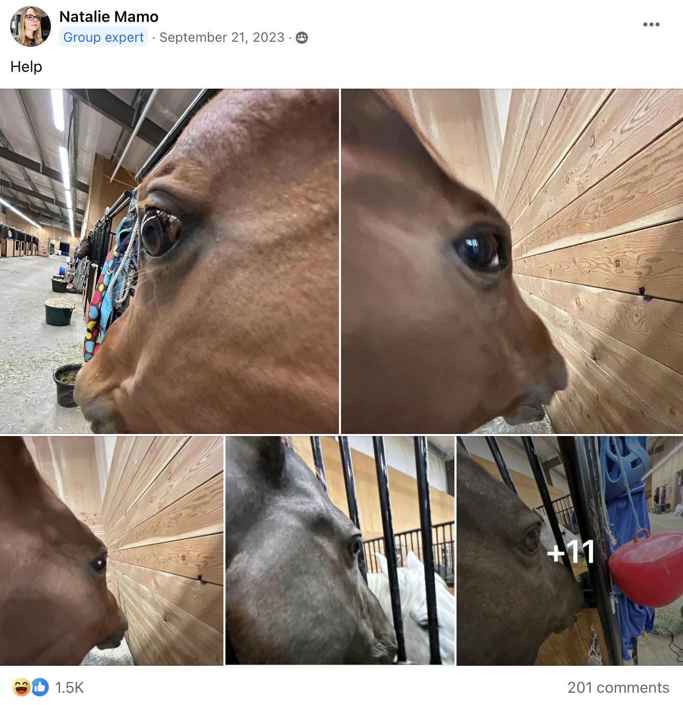 Original Side eye horse meme Facebook photo set.