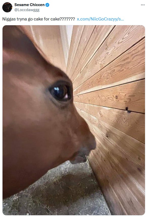 Side eye horse meme about cake.