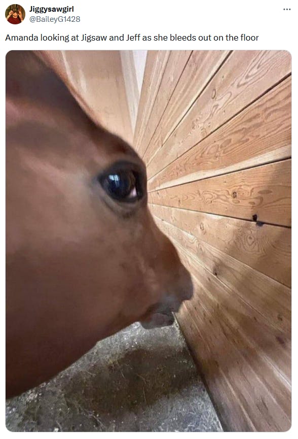 Side eye horse meme about the Saw films.