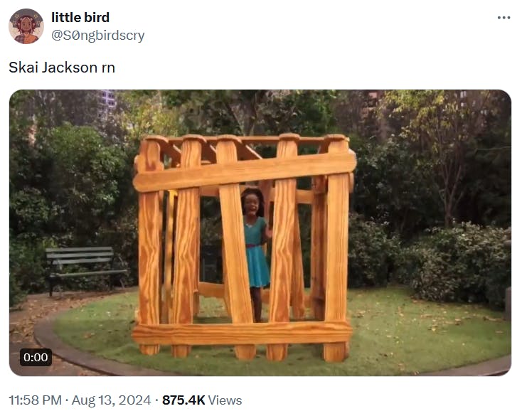 Skai Jackson arrest meme with the young actress in a wooden cage.