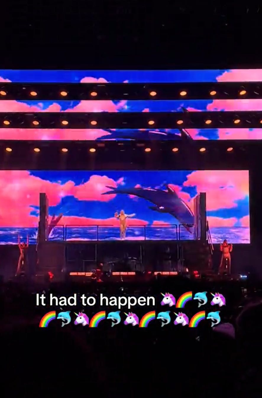 Video recording of Zara Larsson on stage with animations of dolphins jumping on a screen in the background. Text overlay reads, 'It had to happen.' with a string of unicorn, rainbow, and dolphin emojis.