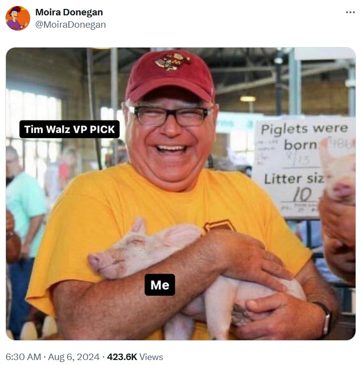 Tim Walz meme with the piglet photo labeling Walz as 'Tim Walz VP PICK' and the piglet as 'me.'