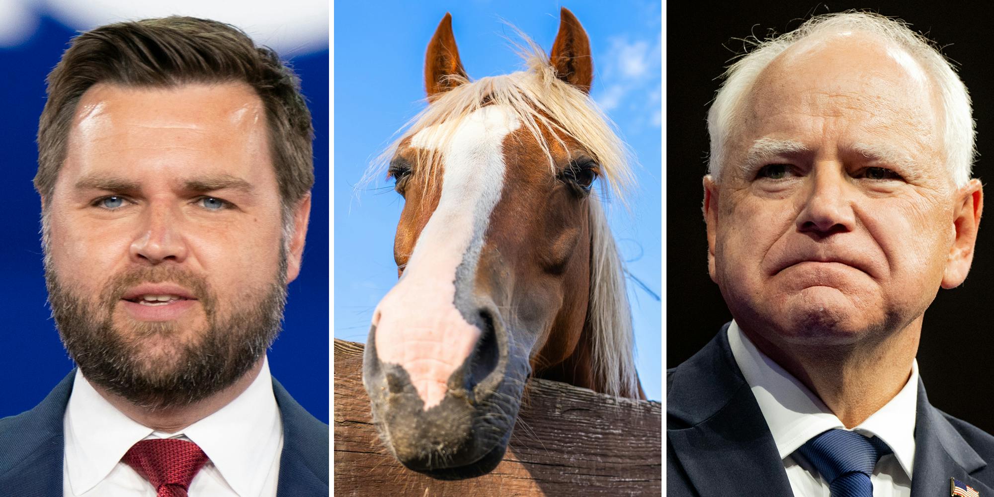 JD Vance (l) horse (c) Tim Walz (r)