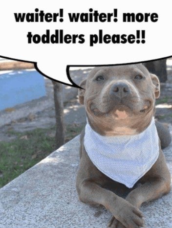 waiter waiter more toddlers please pitbull