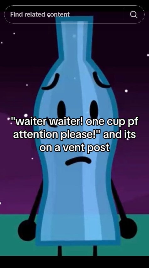 'waiter waiter one cup of attention please on a vent post' meme