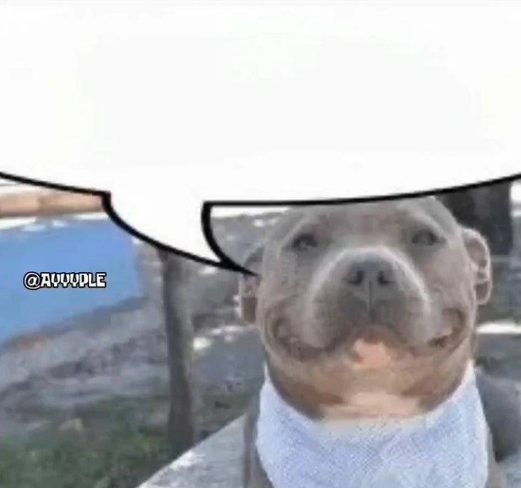 waiter waiter more toddlers please pitbull blank meme