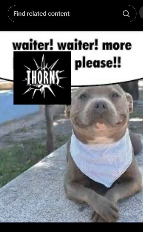 'waiter waiter more thorns' meme