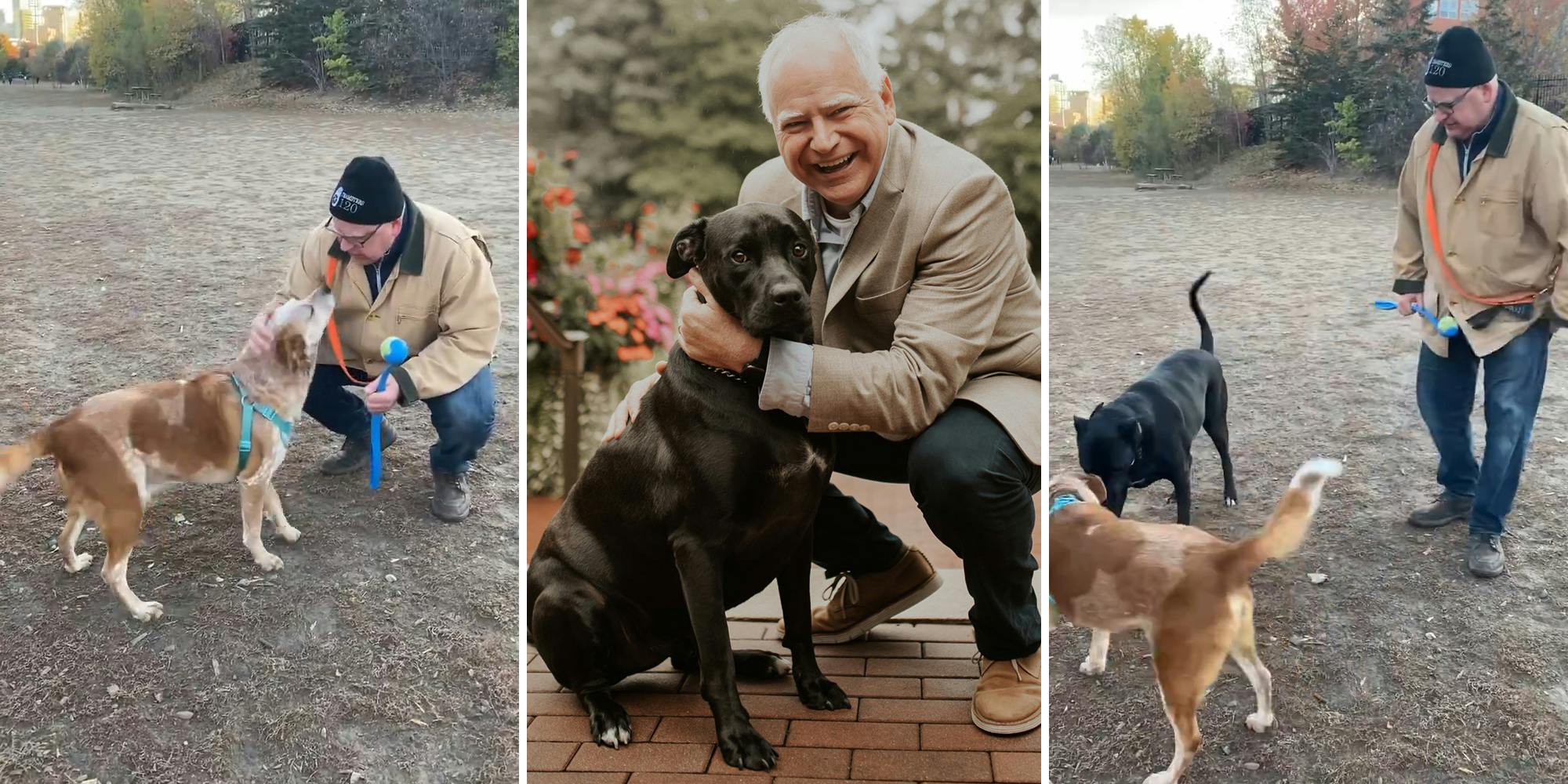 Tim Walz Dog Park Photo Prompts MAGA Conspiracy