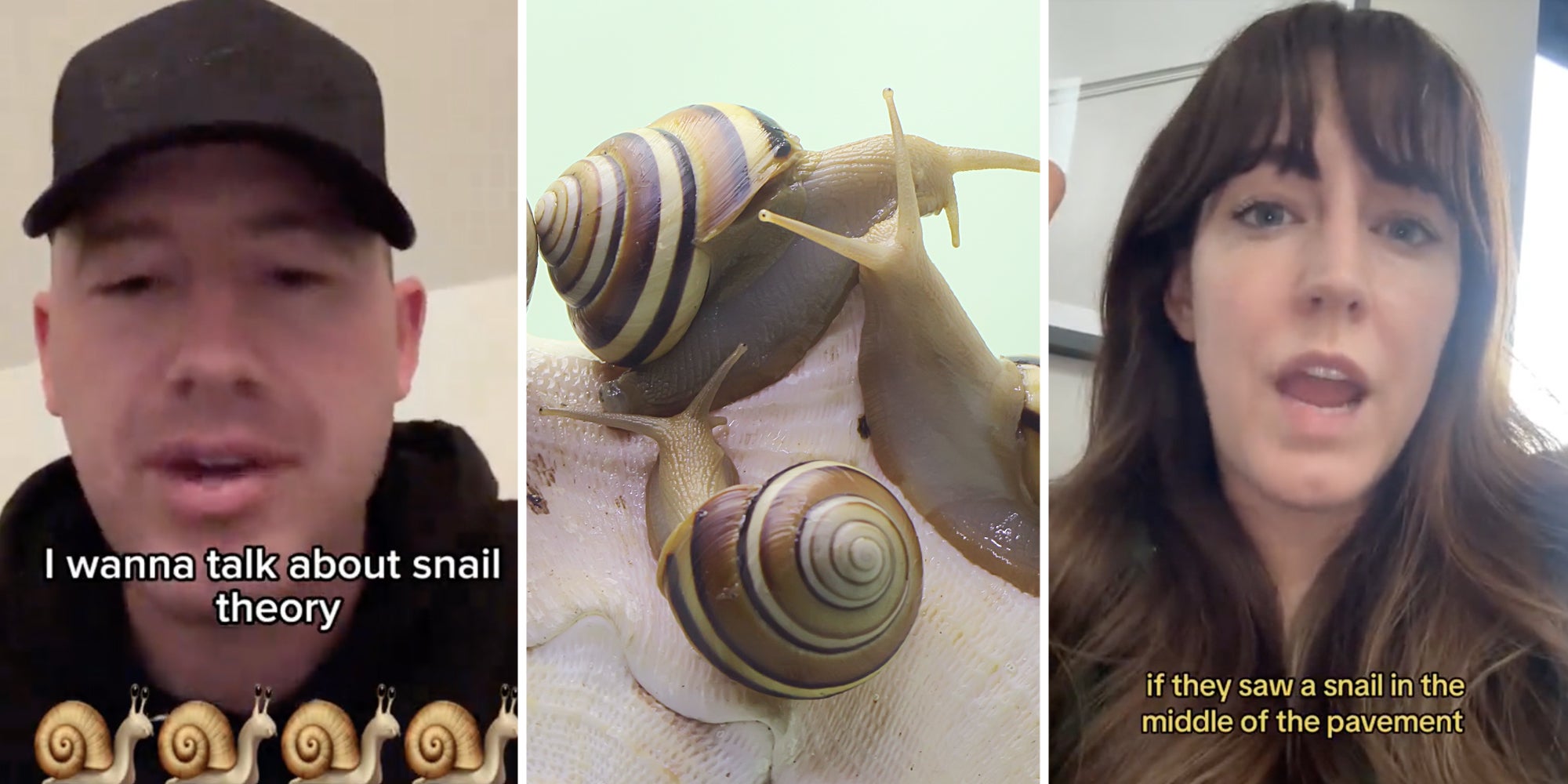 snail theory Man talking(l), Snails(c), Woman talking(r)
