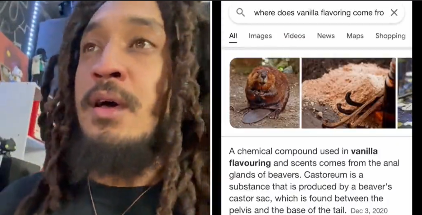 A split screen TikTok of a man with dreads looking shocked. The other side of the screen has a search result about vanilla flavoring coming from the anal glands of beavers.