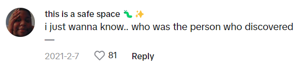 TikTok comment that reads, 'i just wanna know.. who was the person who discovered —'