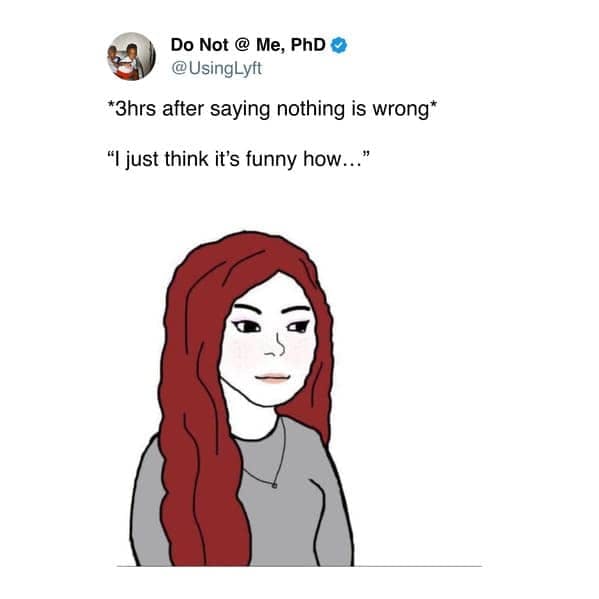 Wifejak meme about claiming nothing is wrong.