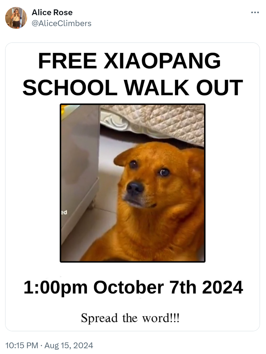 School walkout-style posted saying 'Free XiaoPang' with a random date and time and photo of his betrayed face.