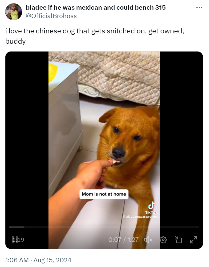 Reposted video of XiaoPang being fed duck with text overlay that reads, 'Mom is not at home.' Twitter comment reads, 'i love the chinese dog that gets snitched on. get owned, buddy'