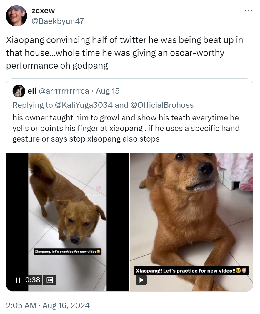 Tweet that reads, 'Xiaopang convincing half of twitter he was being beat up in that house...whole time he was giving an oscar-worthy performance oh godpang.'