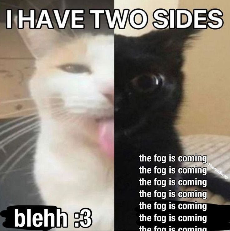 The fog is coming cat I have two sides meme