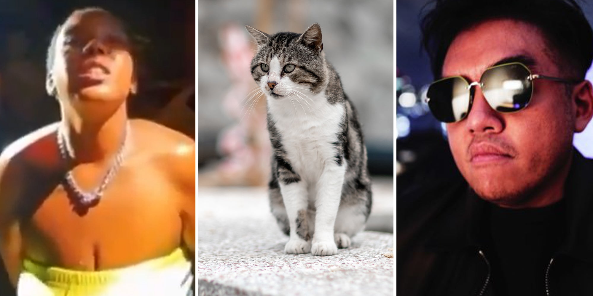 Conservative influencers falsely blame Haitian immigrants after American woman eats a cat