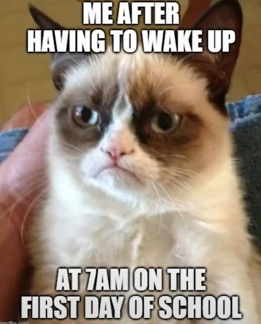 Grumpy Cat meme