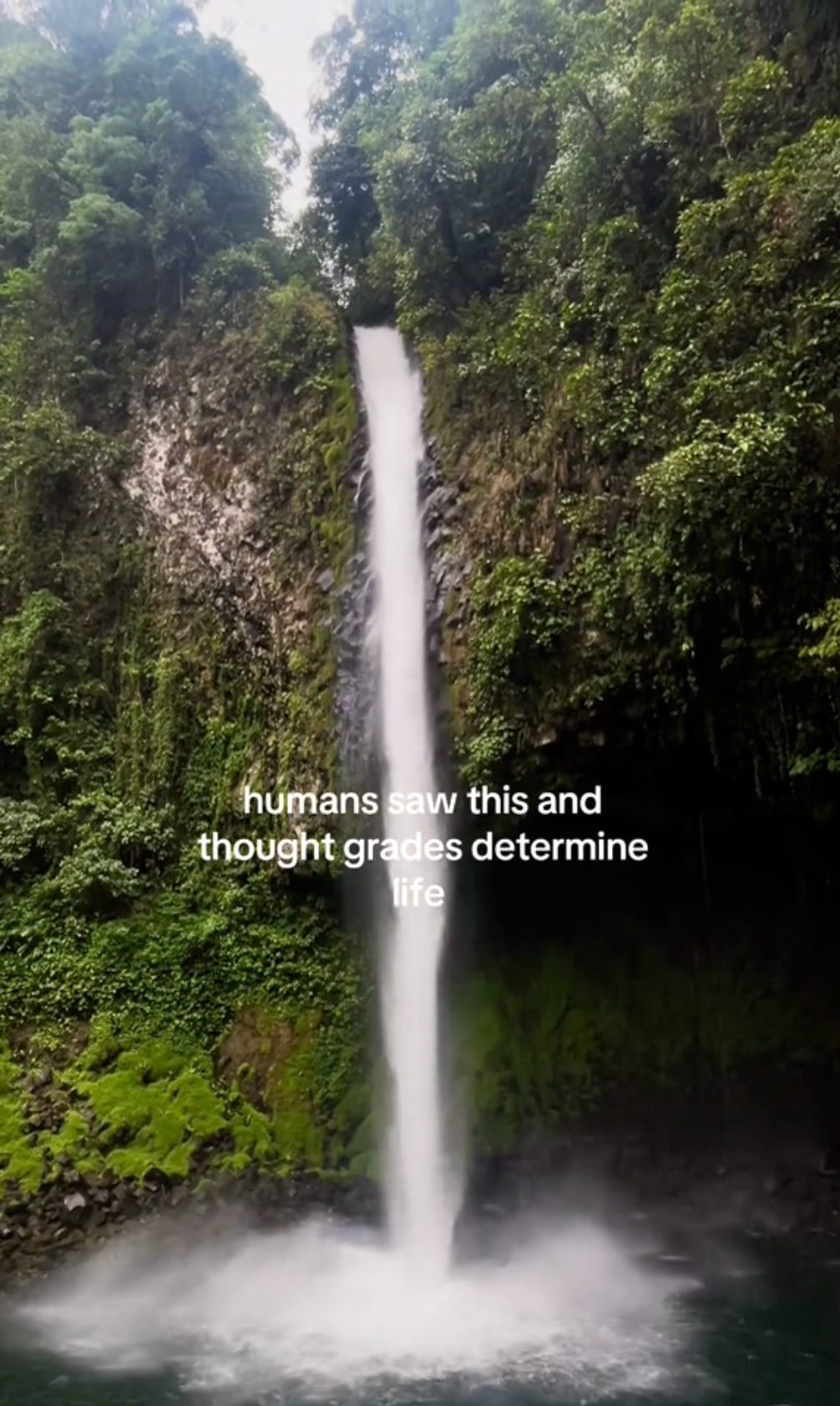 Humans Saw This meme with a waterfall in the background.