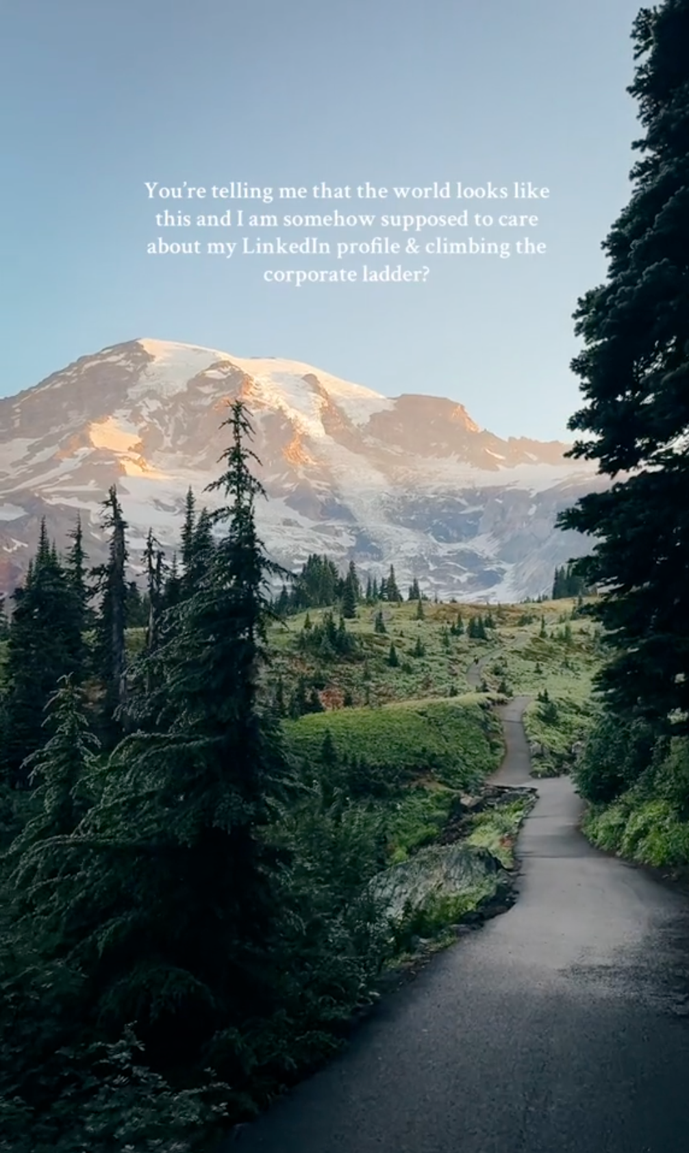 Humans Saw This meme of a narrow winding paved road through a pine forest, a snow-capped mountain in the distance.