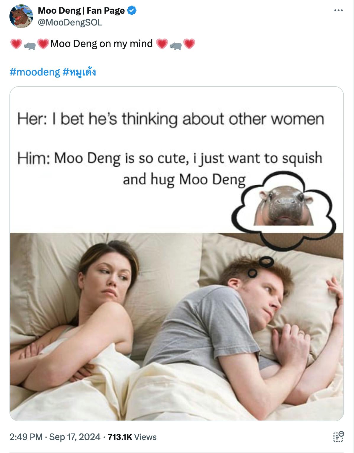 Moo Deng meme