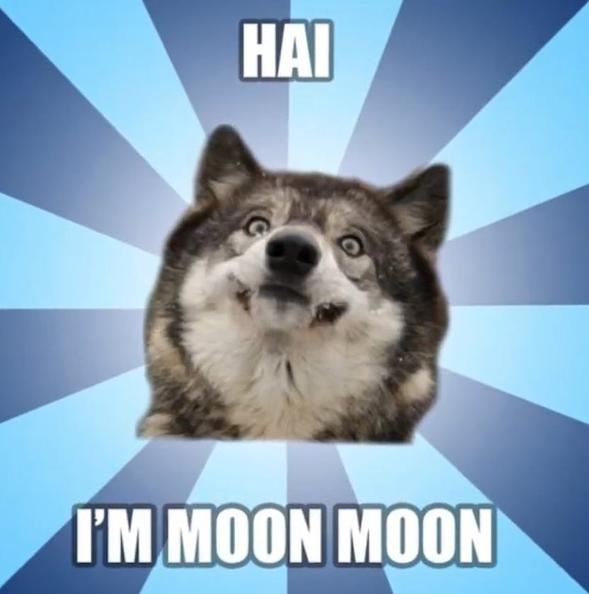 Moon Moon meme