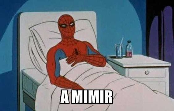 spiderman a mimir