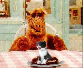 Screencap of ALF with a fork and knife staring at a photoshopped kitten on his plate.