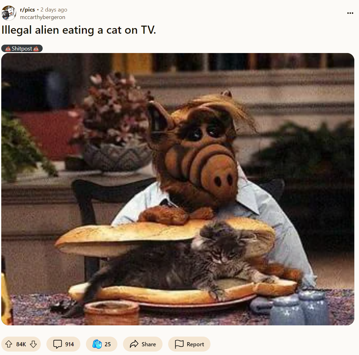 Reddit post title reads, 'Illegal alien eating a cat on TV.' with a photo of ALF with a cat between two slices of bread.