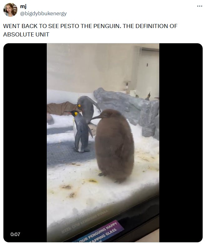 Baby Pesto meme calling him the definition of 'absolute unit.'