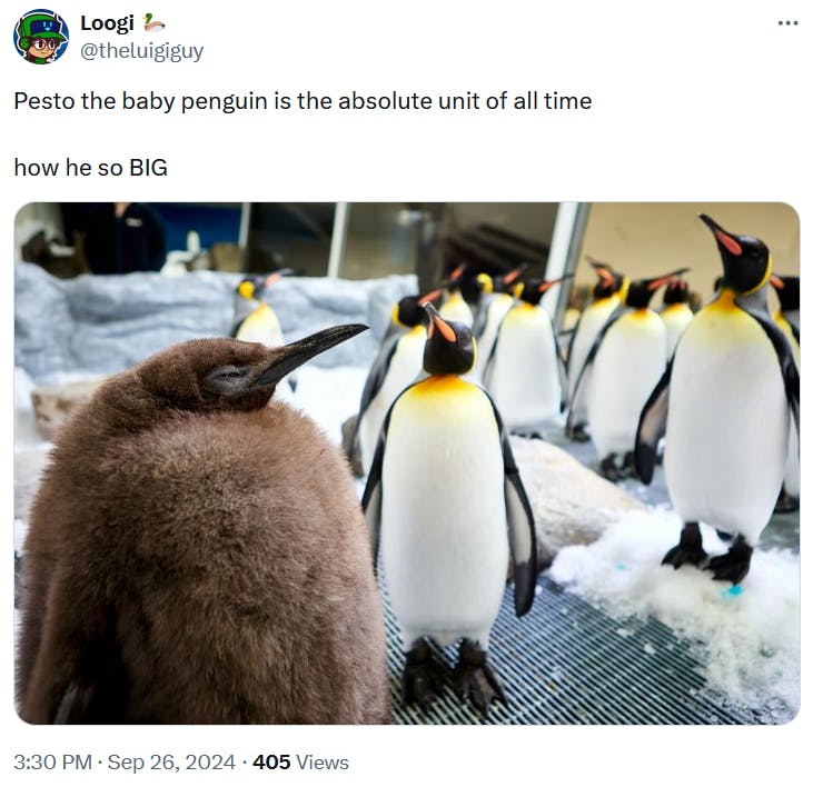 Baby Pesto meme calling him an absolute unit.