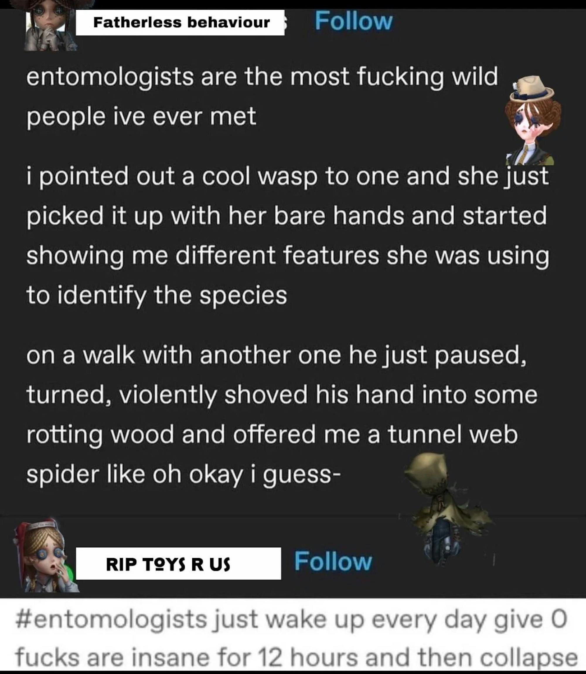 Brainrot meme about entomology