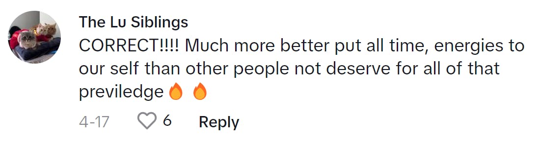 TikTok comment that reads, 'CORRECT!!!! Much more better put all time, energies to our self than other people not deserve for all of that [privilege] (fire emojis)'