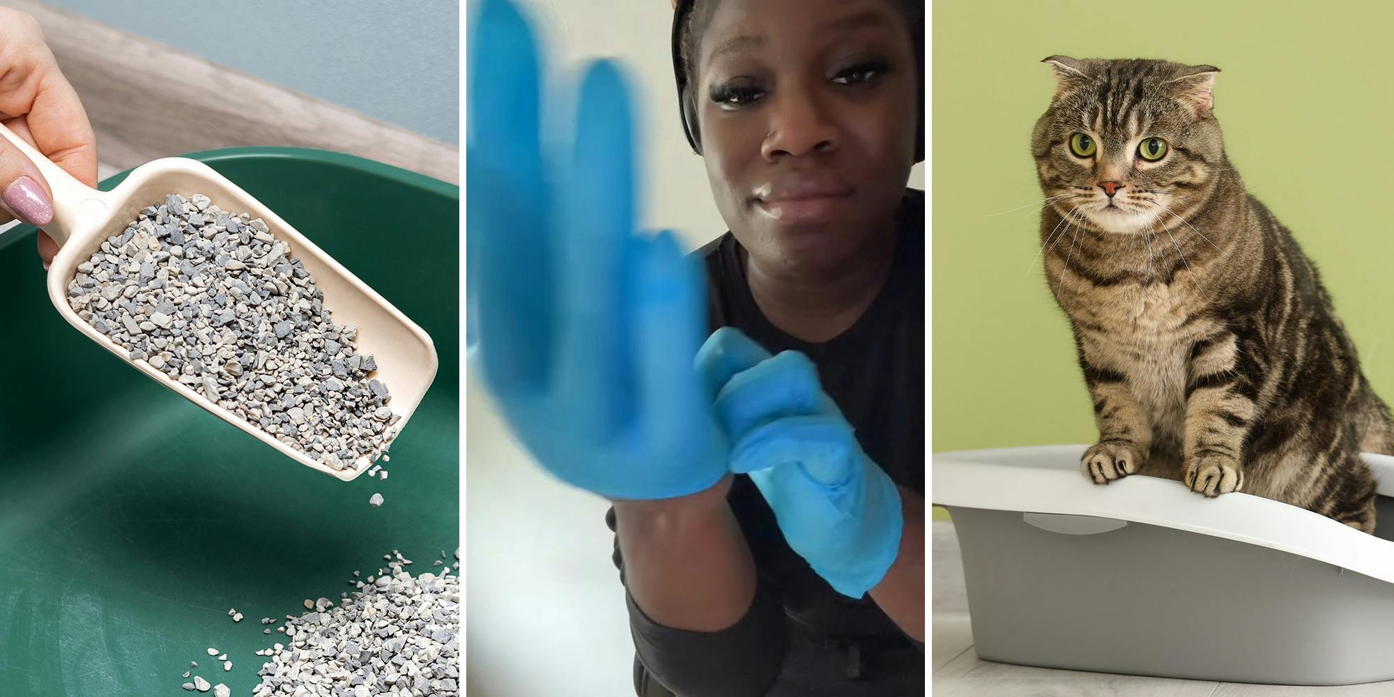 ‘With my indoor cats I tried to be careful’: Nursing student warns you should use gloves to clean your litter box - The Daily Dot