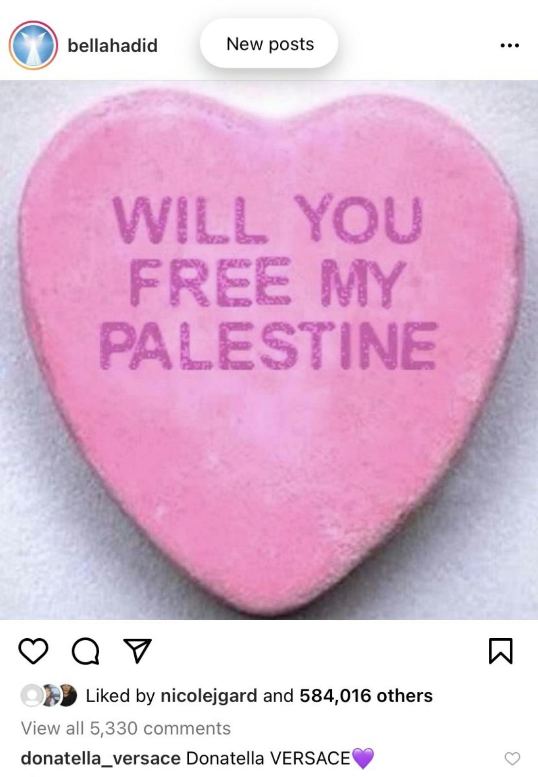 Bella Hadid Palestine Instagram post with the Donatella Versace purple heart comment.