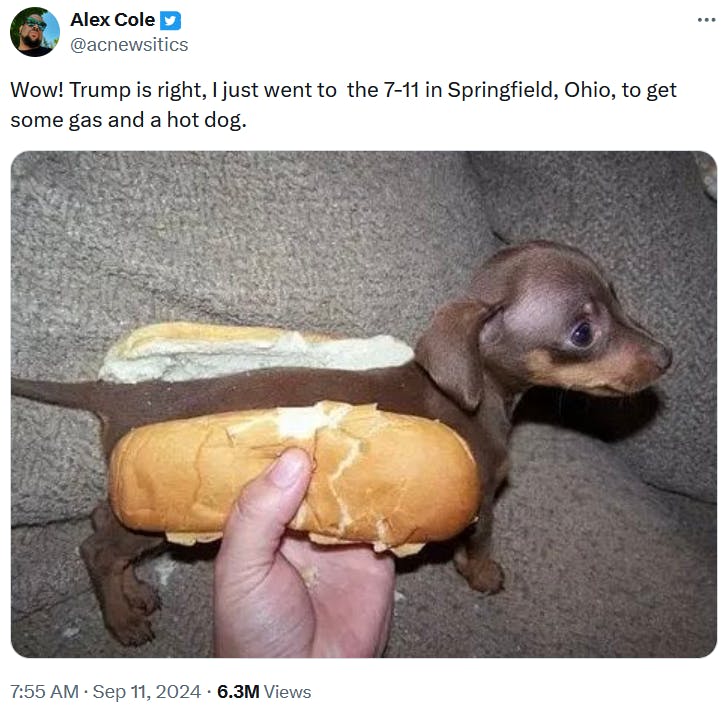 Eating pets meme with a photo of a tiny wiener dog puppy in a hot dog bun.