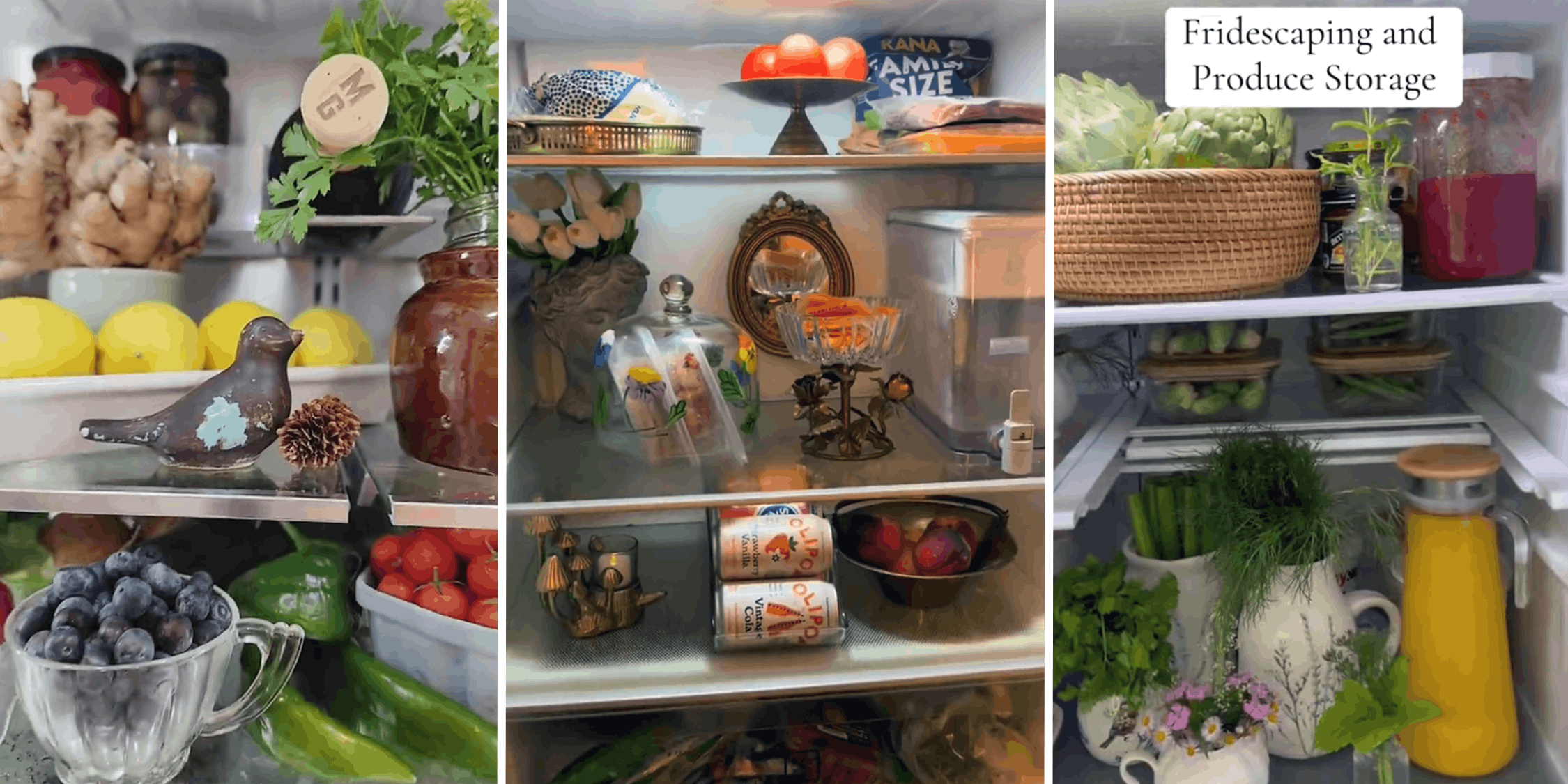 fridgescaping