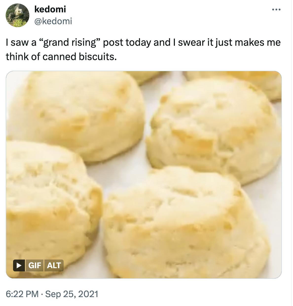 Tweet reads, 'I saw a 'grand rising' post today and I swear it just makes me think of canned biscuits.' with an image of biscuits rising in the oven.