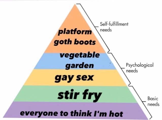 pyramid of needs, from top to bottom: for eveyrone to think I'm hot, stir fry, gay sex, vegetable garden, platform goth boots)