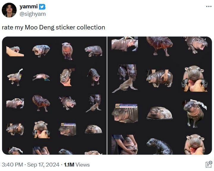 Moo Deng meme as a sticker collection.