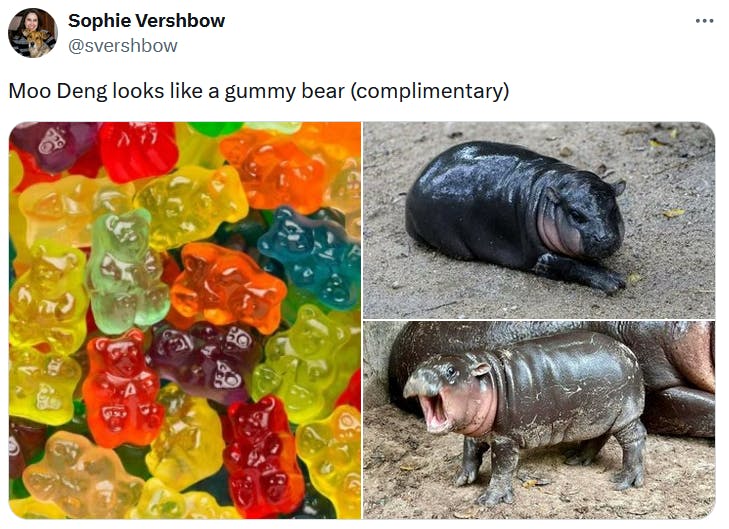 Moo Deng meme comparing her to gummy bears.