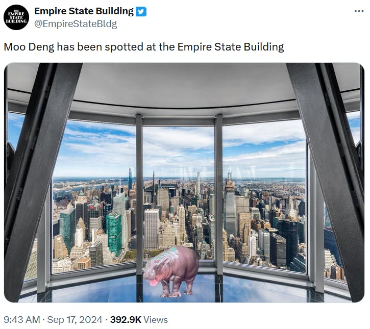 Moo Deng meme in the Empire State Building.