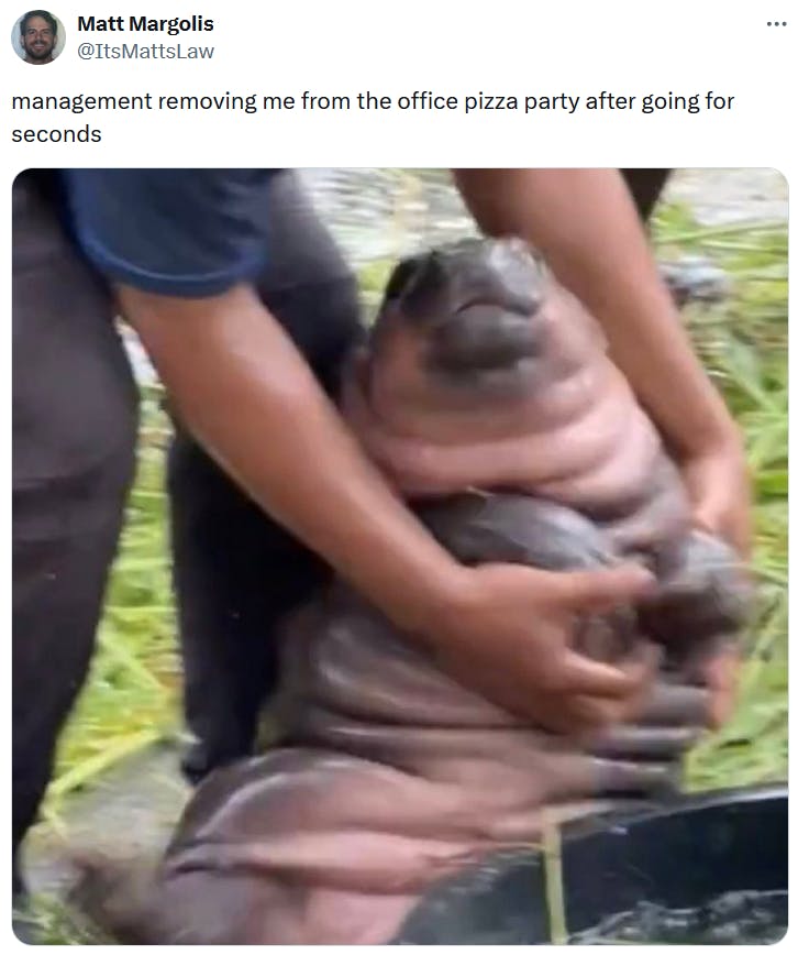 Moo Deng meme about workplace pizza parties.