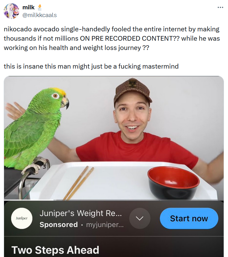 Nikocado Avocado meme calling him a mastermind for his social experiment.