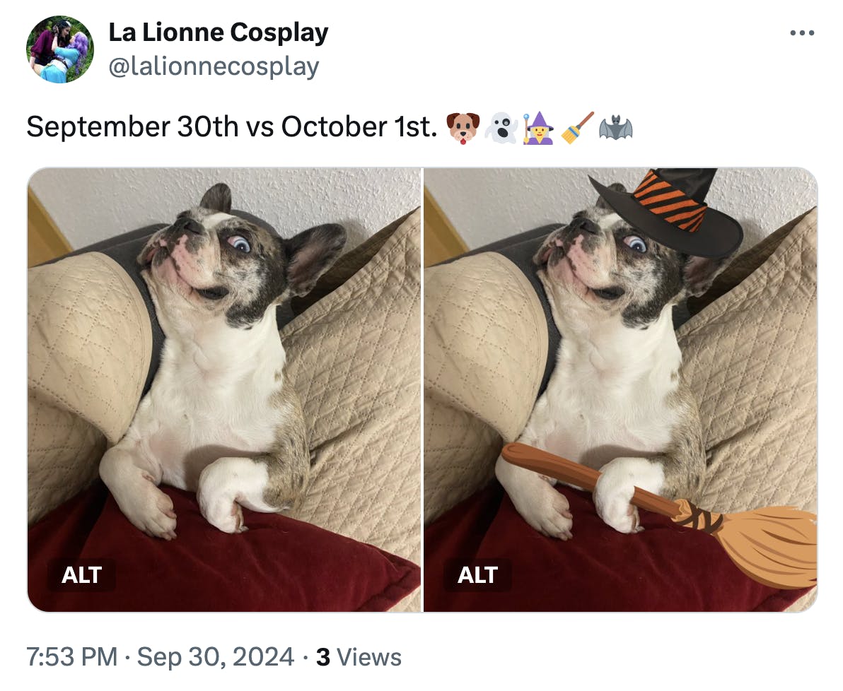 September 30 vs October 1 meme featuring a Boston terrier staring at the camera. In the second photo, a witch hat and broom have been photoshopped onto the photo.