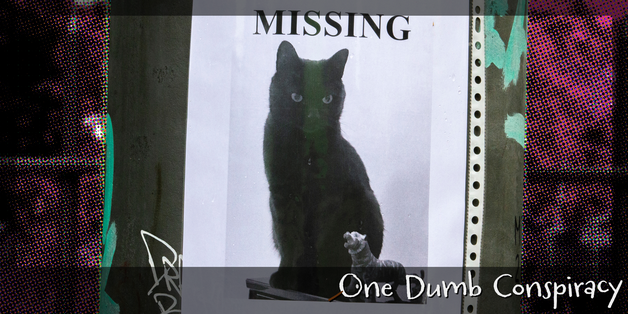 A poster saying 'missing' with a cat on it. There is text that says 'One Dumb Conspiracy' in a Daily Dot newsletter web_crawlr font.